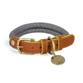 Adjustable Dog Collar | Sandton Yellow Edge