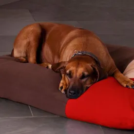 Luxury Divan Quattro Orthopaedic Dog Bed