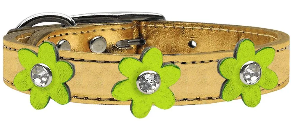 Metallic Flower Leather Collar Gold With Metallic Lime Green Flowers Size 14