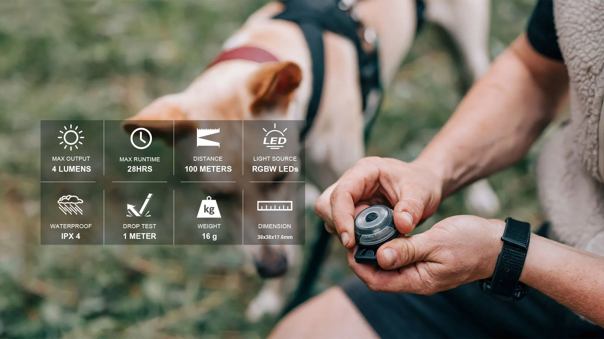 Olight GOBER Safety Light