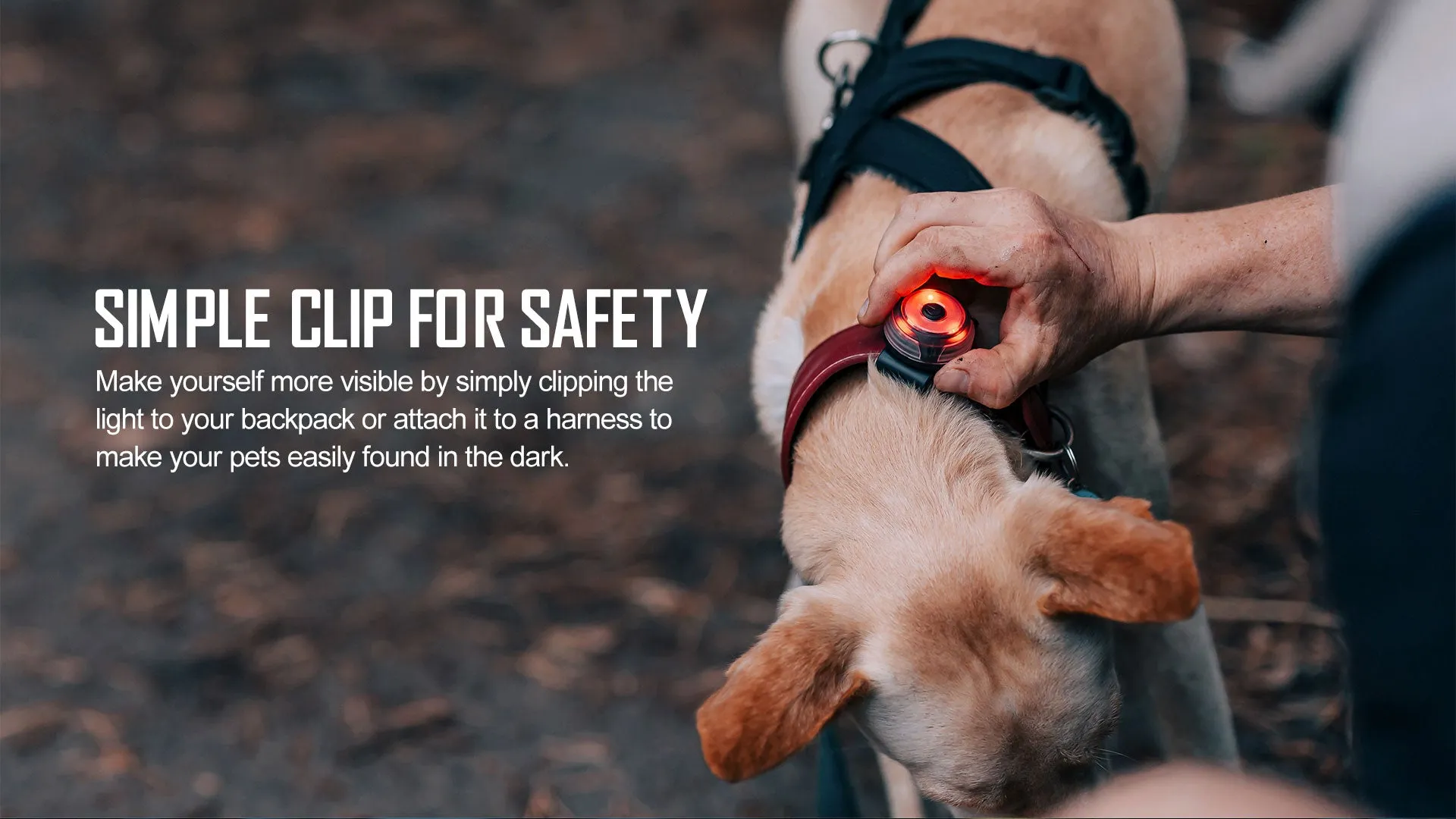 Olight GOBER Safety Light
