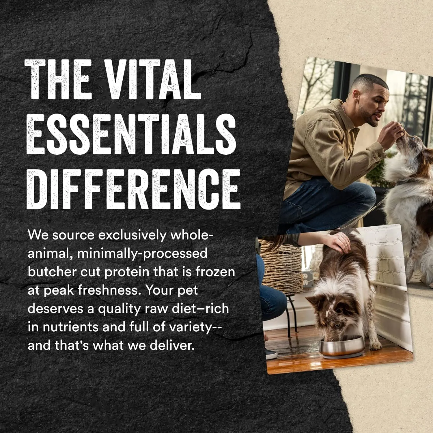 Vital Essentials Freeze Dried Raw Protein Mix-in Dog Food Topper, Salmon Mini Nibs Topper for Dogs, 18 oz