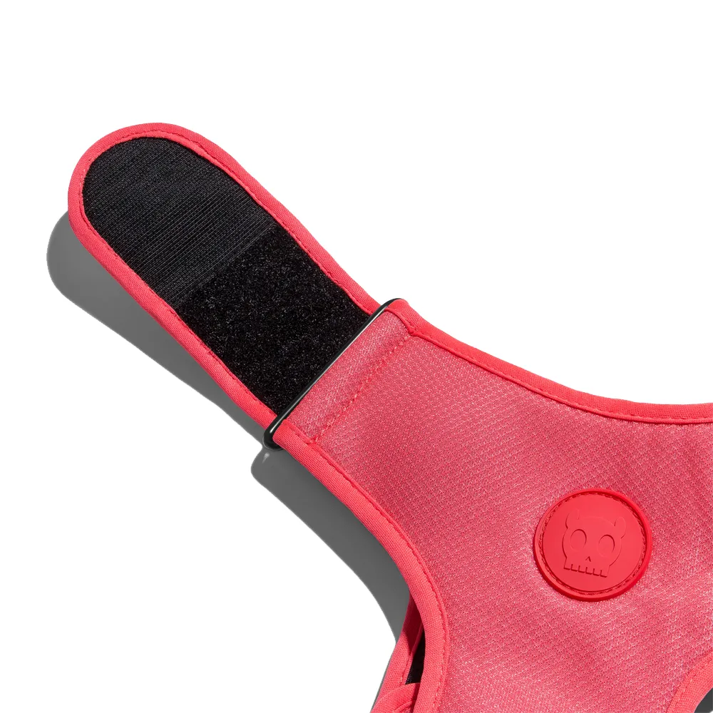 Zee.Dog Neon Coral Adjustable Air Mesh Harness